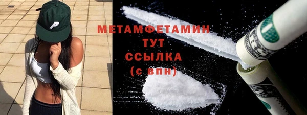 прущие грибы Богданович