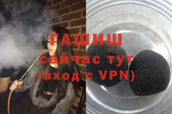 прущие грибы Барнаул