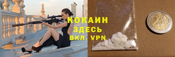 прущие грибы Богданович