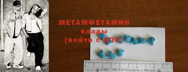 прущие грибы Богданович