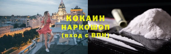 прущие грибы Богданович