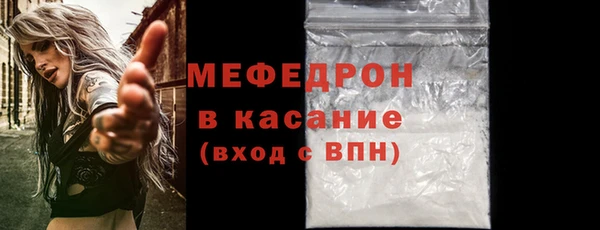 прущие грибы Богданович