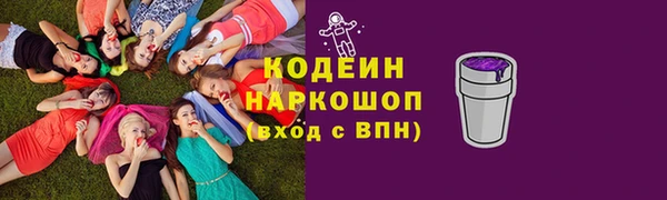 прущие грибы Богданович