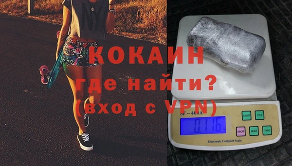 прущие грибы Богданович
