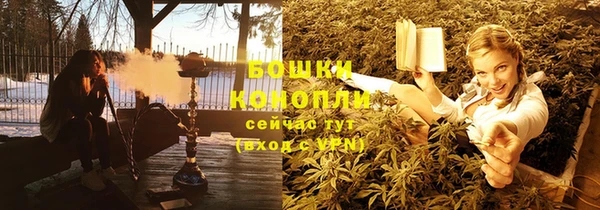 прущие грибы Богданович