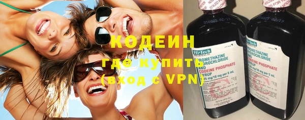 прущие грибы Богданович