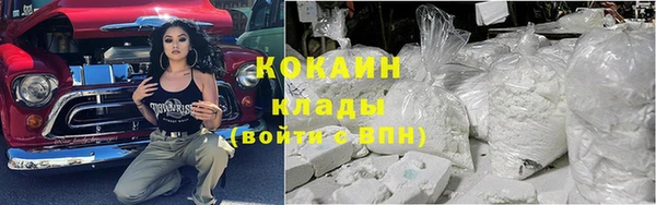 прущие грибы Богданович