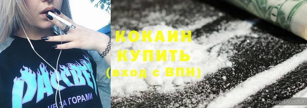 прущие грибы Богданович