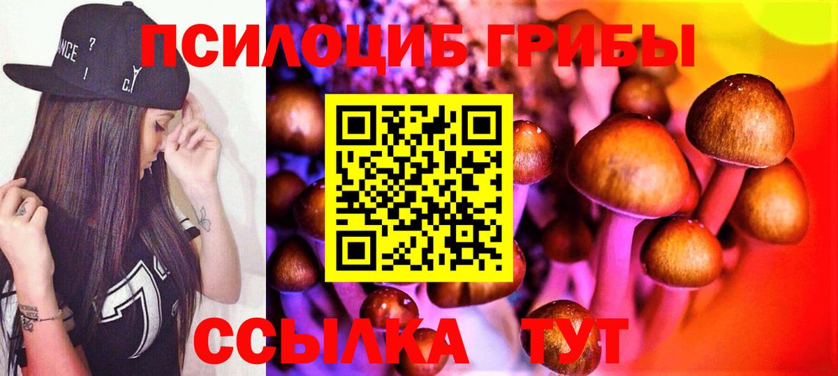 Галлюциногенные грибы мицелий  Великие Луки  Псилоцибиновые грибы Cubensis 